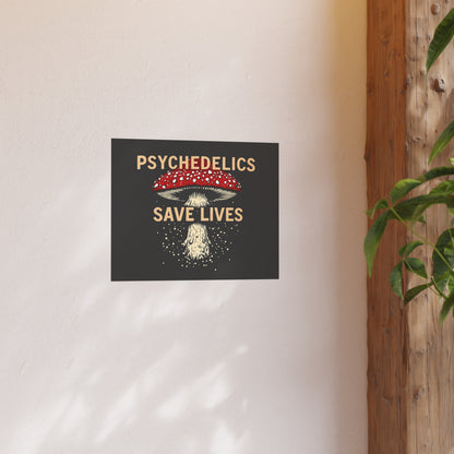Psychedelics Save Lives Poster