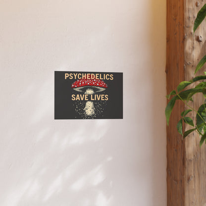 Psychedelics Save Lives Poster