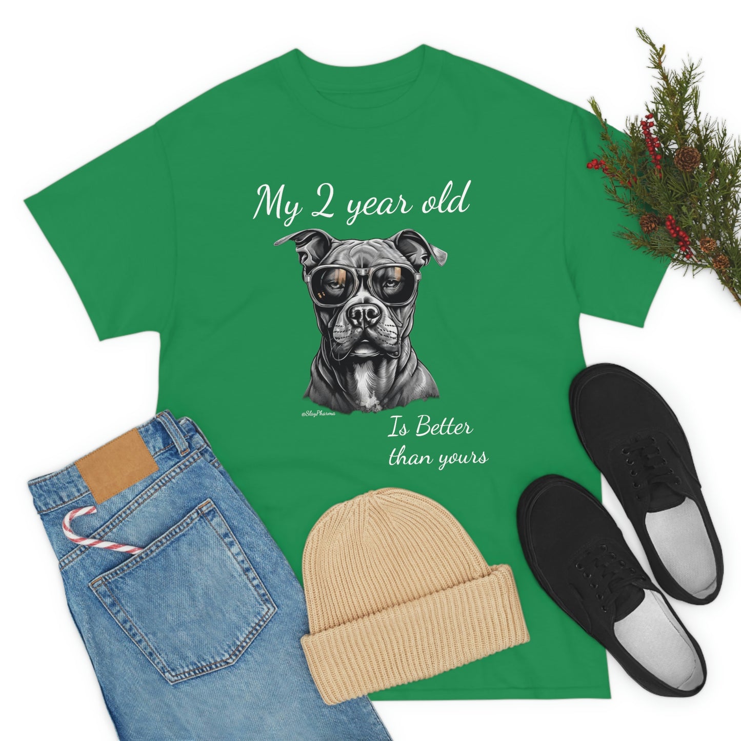 Pitbulls are better than kids Festival T-Shirt #2