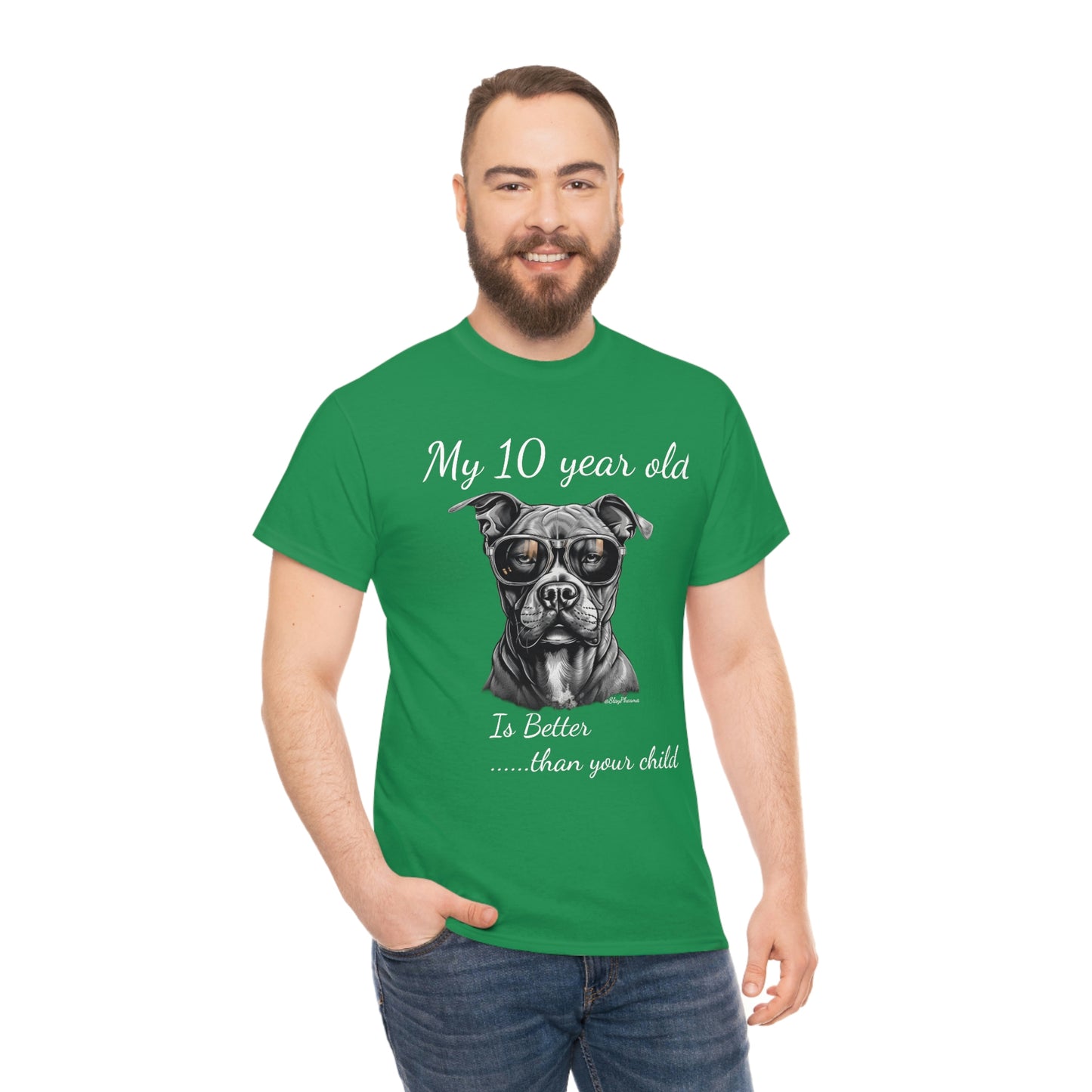 Pitbulls are better than kids Festival T-Shirt #10