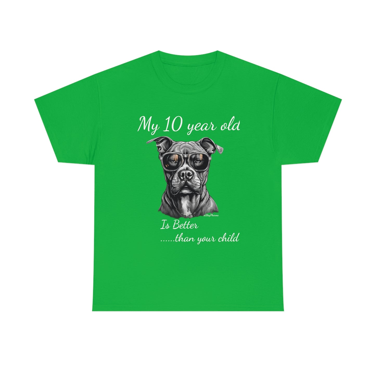 Pitbulls are better than kids Festival T-Shirt #10