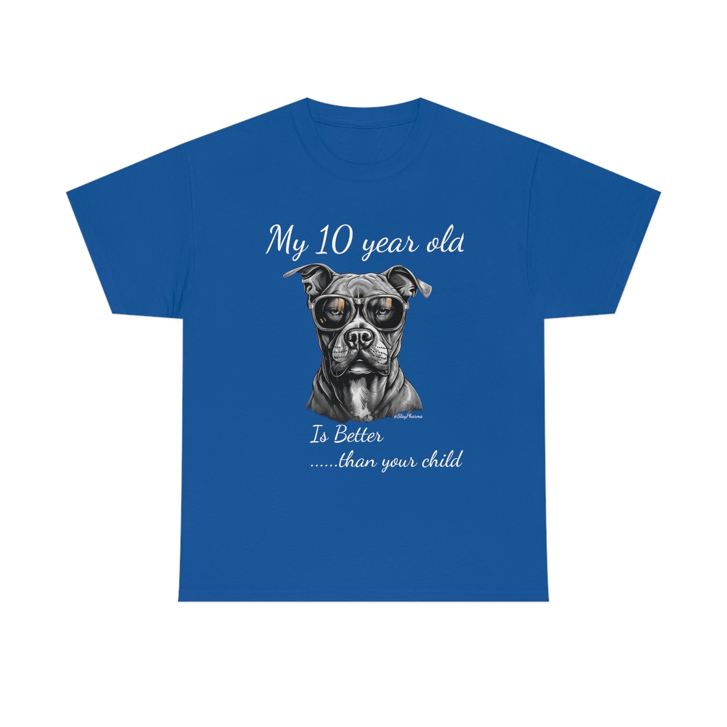 Pitbulls are better than kids Festival T-Shirt #10