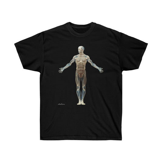 Straight Transparent Unisex Tee