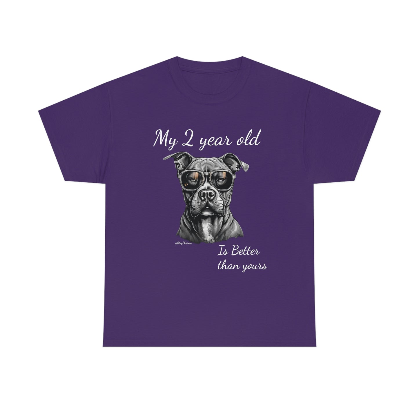 Pitbulls are better than kids Festival T-Shirt #2