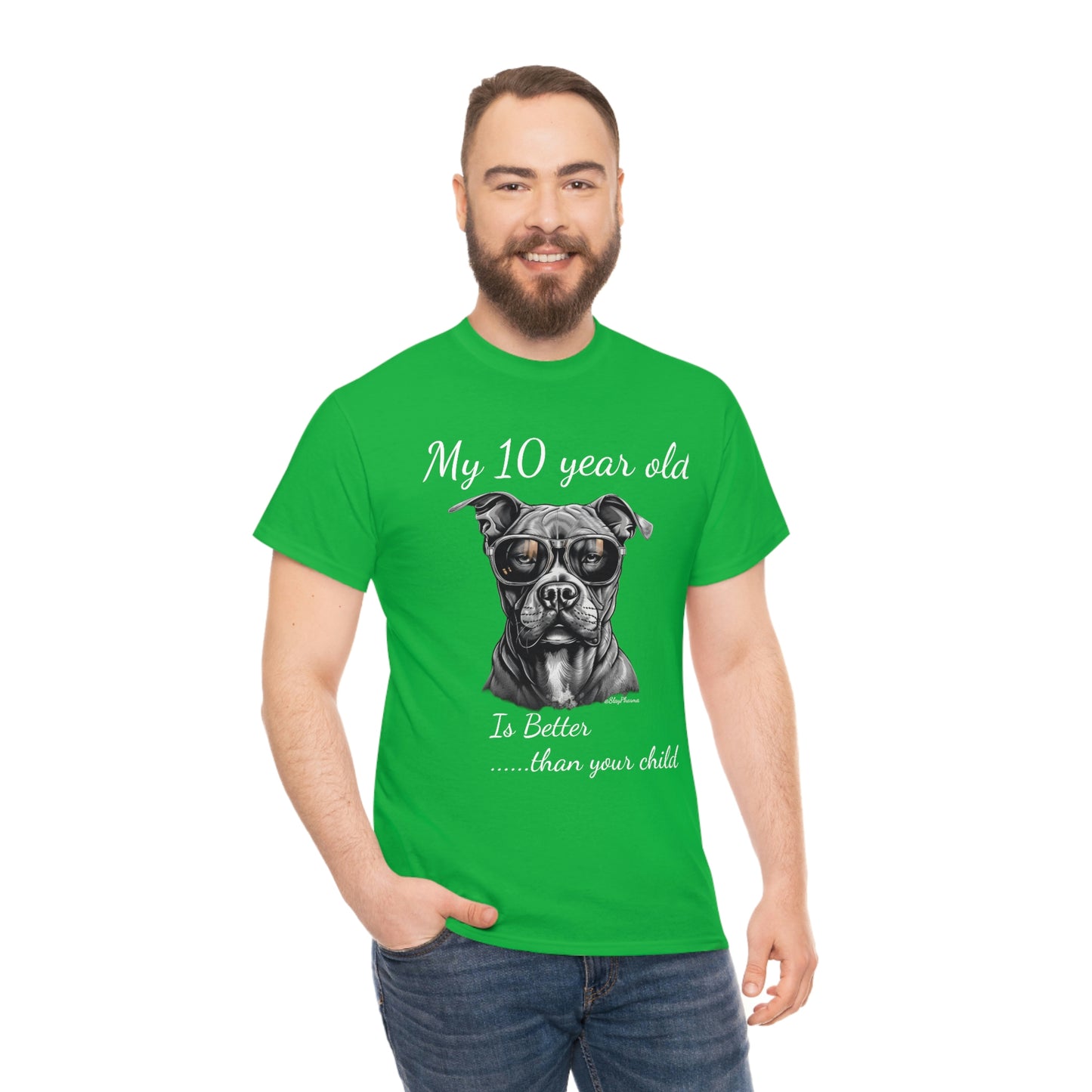 Pitbulls are better than kids Festival T-Shirt #10