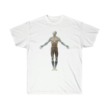 Straight Transparent Unisex Tee
