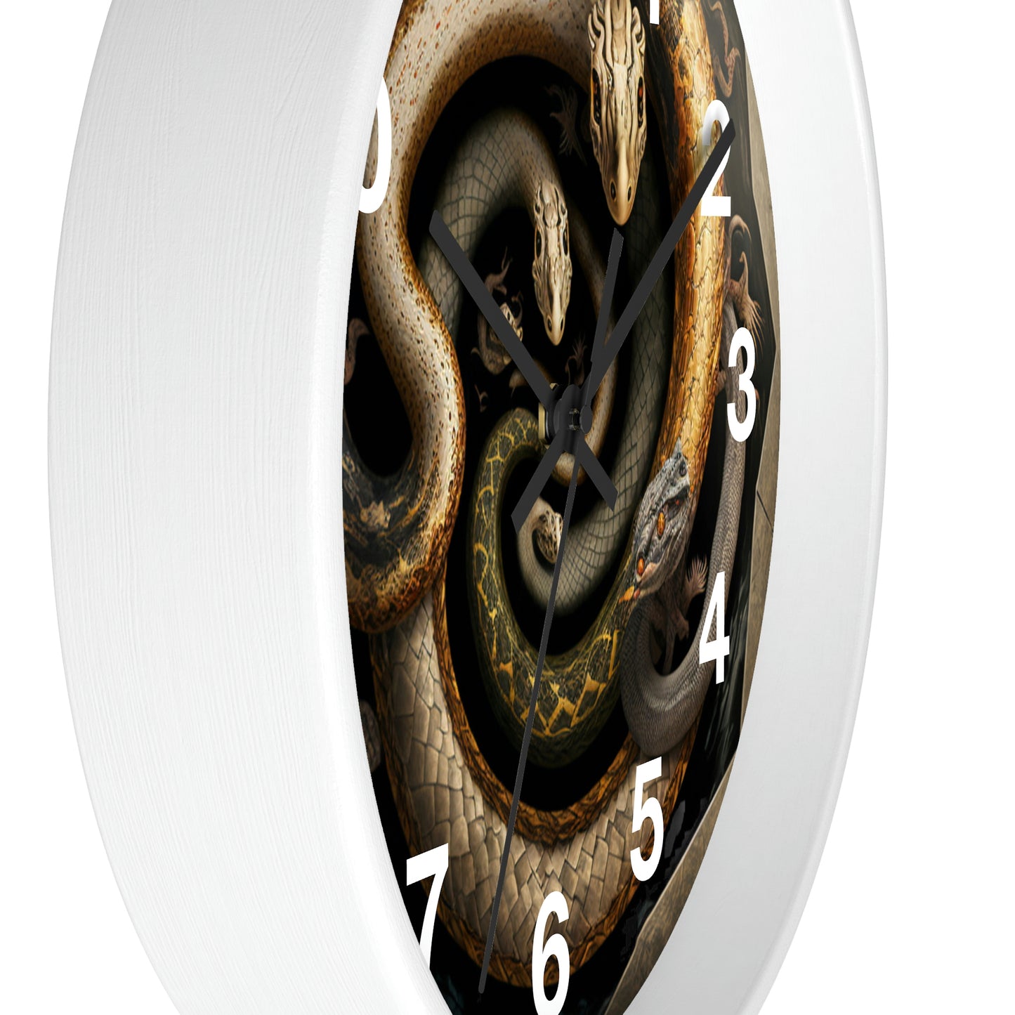 Snakes on a Wall Clock w/ numbers